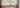 tropical nature botanical landscape