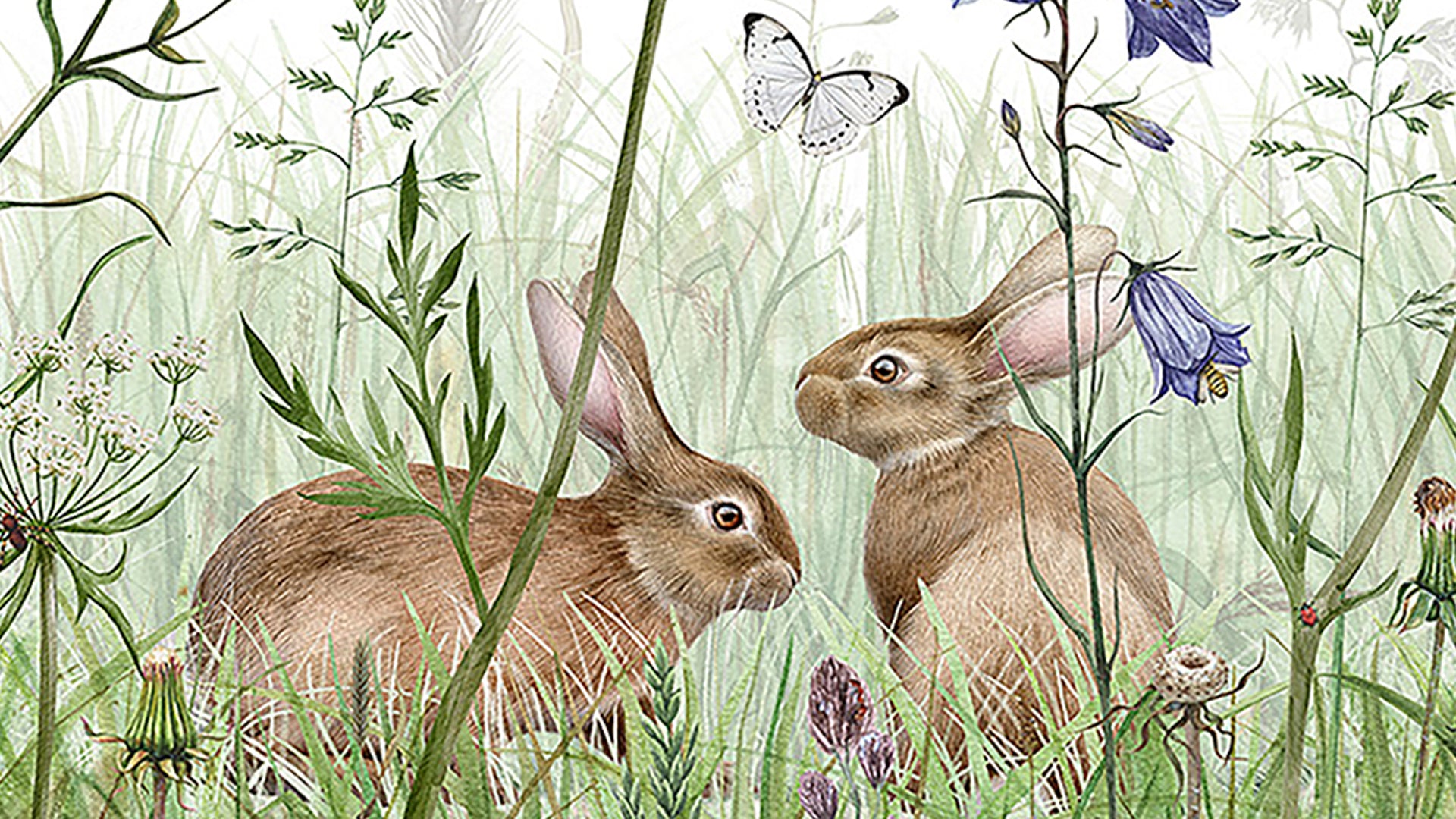 Bunnies in forest Wallpaper for Children's Room-sample