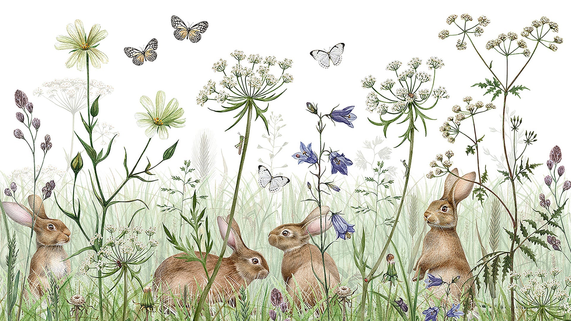 Bunnies in forest Wallpaper for Children's Room-sample