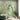 Mint Blossom: Graceful Mural With Majestic Peacocks Perched Among Blooming Yellow Florals And Delicate Birds