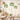 Palm Foliage: Hand-Painted Minimal Tropical Wallpaper