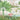 Tropical wallpaper with stylized greenery, vibrant flowers, a leafy tree and dragonflies above a tranquil pond on sandy tones.