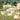 Elegant wallpaper features cows grazing by a green lawn, an ornate pavilion, a serene woman, lush trees, palace, pond, and cloudy sky.