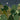Nighttime jungle wallpaper features lush greenery, tall plants, four playful climbing monkeys, and a crescent moon in a starry sky.