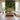 Sacred Conversation: Pichwai Rasleela Wallpaper For Temple, Living Room
