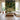 Wallpaper mural of a vibrant forest with dancing figures adds life to a bright living room with white sofa, wood table, and tall windows.