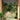 Wallpaper mural of a green forest with cows, peacocks, and a white gazebo; a potted plant stands in the bright modern room.