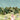 Wallpaper featuring a woman in traditional dress amid lush trees, peacocks, monkeys, and birds beneath a dreamy starry sky.
