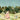 Wallpaper features a serene garden scene with a woman in Indian dress, peacocks, monkeys in trees, and soft blue swirling sky patterns.