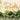 Two peacocks stand in lush greenery with monkeys and a parrot, set before domed palaces and arches evoking Indian garden wallpaper.