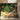 Sunlit room with a skylight highlights wallpaper featuring cows, leafy trees, and pavilions, accented by a bench and tall vase.