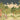 Mughal-style wallpaper features women dancing in vibrant dresses, peacocks, a grazing deer, and a domed palace beneath a starry sky.