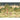 Wallpaper design featuring women in vivid traditional dresses dancing beneath trees, peacocks, and a palace against a midnight sky.