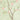 Watercolor branches with pale pink and white blossoms on a soft green backdrop create an airy, botanical wallpaper pattern.