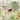 Wallpaper mural with graceful stone arches, abundant greenery, horses grazing beneath a blooming tree, and stately manors in soft tones.