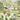 Lush wallpaper mural of a formal garden with fountains, blooming plants, horses grazing, and elegant buildings amid greenery and trees.