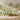 Elegant wallpaper mural featuring a detailed garden scene with arches, statues, and people in vintage attire; paired with a simple wood bench.