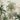 Tropical jungle wallpaper with tall palms, vibrant green leaves, and colorful birds set against a soft, cloudy sky pattern.