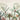 Tropical wallpaper featuring lush green leaves, palm silhouettes, and birds soaring over a pale sky for a tranquil room ambience.