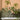 White bathtub and vintage faucet against green wainscoting, with tropical palm wallpaper and potted plants on a rustic table.