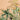 Green palm leaves, ferns, and bird of paradise flowers form a lush botanical wallpaper pattern on a soft beige background.