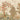 Grove Of Plenty: Chinoiserie Fruits Tree Wallpaper