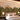 Muted mural wallpaper with lush green trees, pomegranates, and birds sets a serene scene behind a bed with white linens.