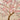Blossoming cherry tree branches with pink blooms spread across a beige, textured wallpaper background, evoking serene elegance.