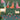 Wallpaper featuring women in vibrant dresses dancing on grass, with cows, cranes by a lotus pond, and lush greenery on a green backdrop.