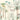 Tropical wallpaper design featuring a cheetah, monkey, and sloth among lush palms, with ‚ÄúVED‚Äù in rope letters hanging from leafy branches.