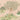 Lush monkeys and birds amid leafy trees and green foliage on rolling hills, set against a soft pink modern wallpaper backdrop.