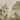 Warm sepia wallpaper of ancient stone columns and ruins amid leafy trees, set against a soft, misty landscape backdrop.