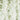 Elegant wallpaper design featuring cascading green ivy with lush leaves on a soft pale background, lending a tranquil, botanical ambiance.