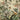 Colorful bird and butterfly among vibrant tropical leaves and flowers on a textured, vintage-inspired wallpaper backdrop.