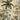 Lush palm and banana leaves, vivid tropical blooms, a vibrant bird, and butterfly form an elegant botanical wallpaper on beige textured backdrop.