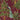 Deep burgundy wallpaper featuring a sophisticated pattern of stylized green trees, sweeping palm leaves, and a central peacock with intricate plumage.