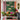 Polka-Prowl:Colorful Polka Dot Leopard Pattern With Vertical Stripes and Decorative Border Accents