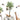 Tropical wallpaper mural featuring illustrated palm trees, a swinging monkey, flying birds, lemur, tiger atop elephant, butterfly and giraffe on white.