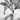 Monochrome tropical wallpaper with detailed banana leaves, a toucan on a branch, hanging bananas, and shadowy palm trees in the background.