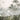 Elegant mural featuring a heron amid lush foliage beside a serene river, misty dragon boat silhouette and soaring birds set a tranquil ambience.