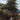Sunlit mural with horses and cows grazing beneath tall trees, soft green fields and gentle hills creating a calm, pastoral accent wall.