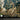 Peacock wallpaper features vibrant plumage and a pedestal set amid a lush forest scene, accented by a potted plant and modern lighting in a stylish room.