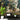 Wall mural features lush green trees, classical statues and scenery as a backdrop for a black chair, white pillow, modern lights and potted plant.