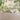 Forest-themed wallpaper with whimsical cartoon animals decorates a children‚Äôs room, paired with a white house-shaped bed and plush toys.