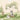 Whimsical woodland mural with a raccoon on a stump, surrounded by bear, rabbit, deer and lush greenery beneath a softly clouded sky.
