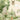 Whimsical wallpaper mural featuring woodland animals‚Äîowl on a vine swing, deer, bunny, teddy bear and mouse‚Äîamid soft watercolor trees and clouds.