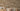 Fantastic Forest Wallpaper With Vintage Brown Background