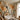 Emil's-Bloom:Abstract Earth Tone Floral Painting With Modern Botanical Leaves and Decorative Wall Art