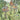 Whimsical forest mural wallpaper featuring three cozy treehouses with steep roofs, glowing lanterns, and wooden staircases linked by a path.