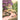 Whimsical fairy tale cottage mural featuring an arched stone bridge over a petal-strewn stream, framed by elegant wisteria and rose blooms.